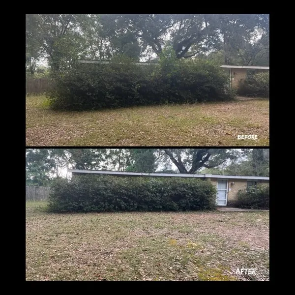 Before and after lawn transformation
